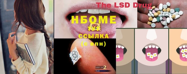 гашик Алексеевка