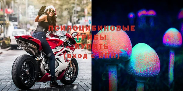 прущий лед Алексин