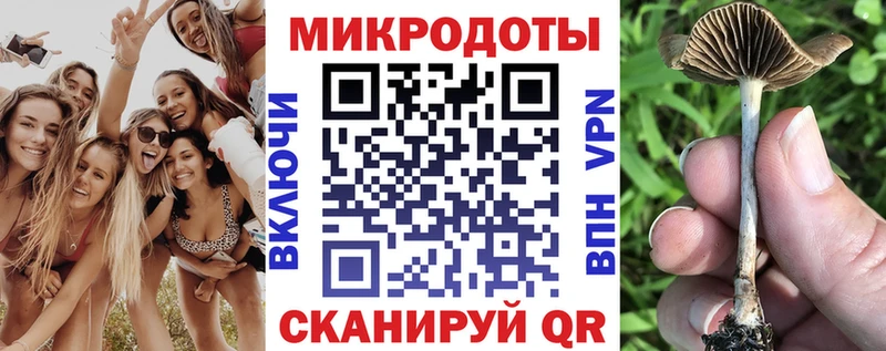 Галлюциногенные грибы мухоморы  наркошоп  Малоархангельск 