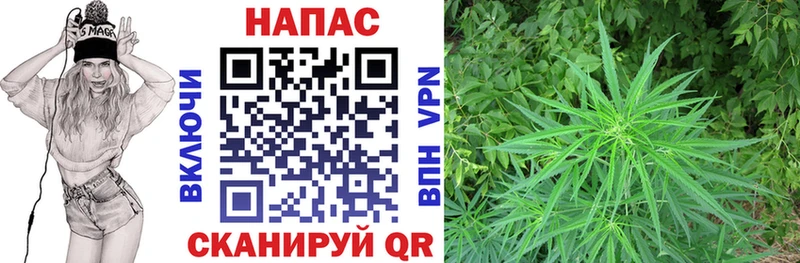 Бошки марихуана Bruce Banner  наркотики  Малоархангельск 